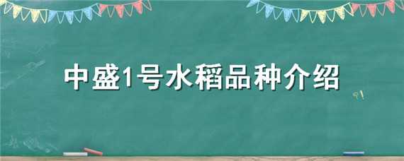 中盛1号水稻品种介绍 中盛1号水稻种子简介