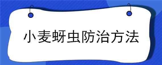 小麦蚜虫防治方法（小麦蚜虫防治方法视频）