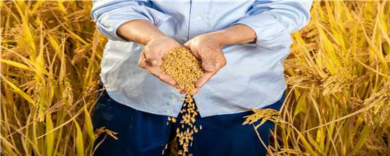 新型职业农民的特征 新型职业农民的特征是什么