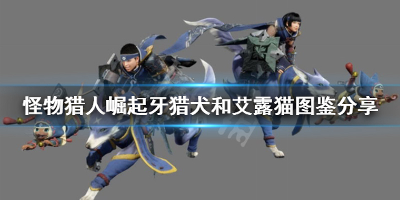 怪物猎人崛起随从艾露猫怎么样（怪物猎人崛起 艾露猫选择）