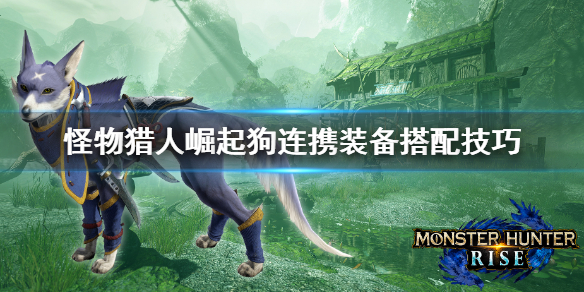 怪物猎人崛起狗连携怎么搭配 怪物猎人崛起狗连携装备搭配