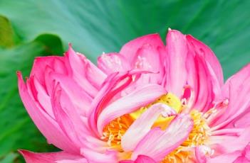 江苏飞虹（江苏飞虹涂料）