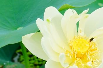 新北极星 新北极星石英钟不走