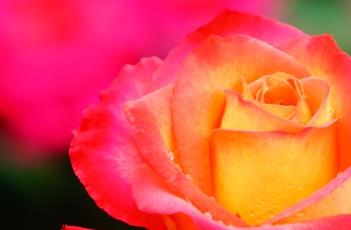 古龙（古龙小说有哪些）