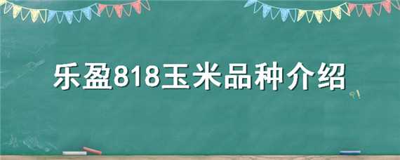 乐盈818玉米品种介绍（乐盈818玉米种子）