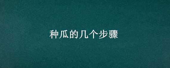 种瓜的几个步骤 种瓜的几个步骤图