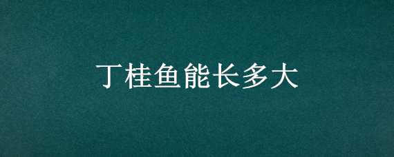 丁桂鱼能长多大 丁桂鱼长得快不快