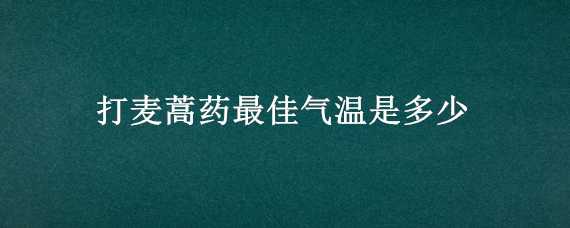 打麦蒿药最佳气温是多少