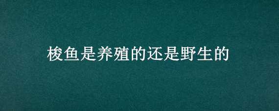 梭鱼是养殖的还是野生的（梭鱼是养殖的还是野生的啊）