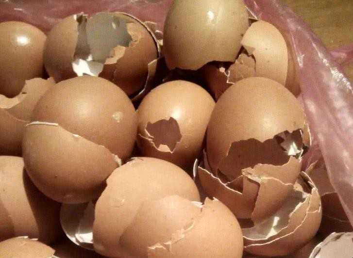 鸡蛋壳有什么用处 鸡蛋壳有什么用处?用来包蛋清和蛋黄