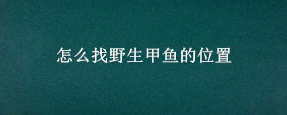 怎么找野生甲鱼的位置 怎么寻找野生甲鱼