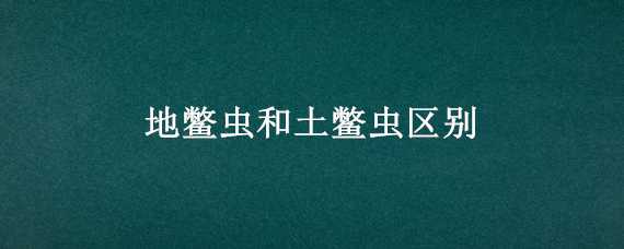 地鳖虫和土鳖虫区别 地鳖虫和土鳖虫区别图片