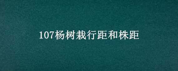 107杨树栽行距和株距（杨树的株距）