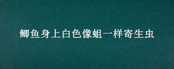 鲫鱼身上白色像蛆一样寄生虫