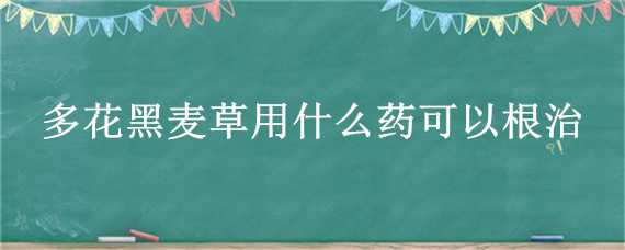 多花黑麦草用什么药可以根治 多花黑麦草用啥药治