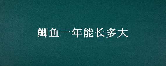 鲫鱼一年能长多大