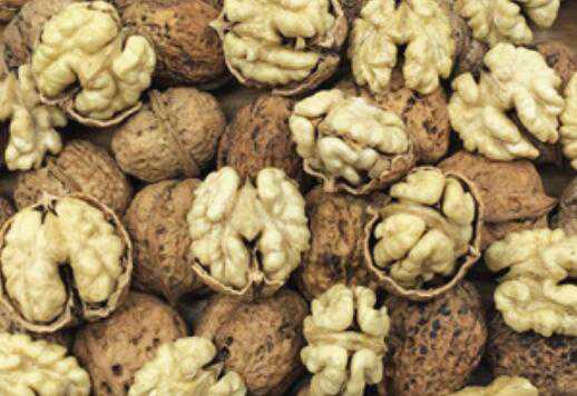 云南纸皮核桃的功效与作用 云南纸皮核桃好吃吗