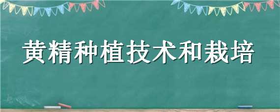 黄精种植技术和栽培 黄精种植技术和栽培技术