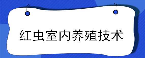 红虫室内养殖技术