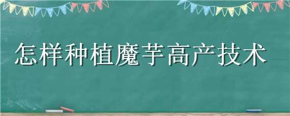 怎样种植魔芋高产技术