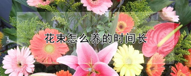 花束怎么养的时间长（花束怎么放的时间长）