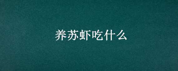 养苏虾吃什么（养的虾吃什么）