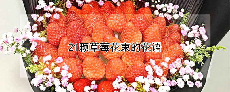 21颗草莓花束的花语 草莓花束的寄语是什么