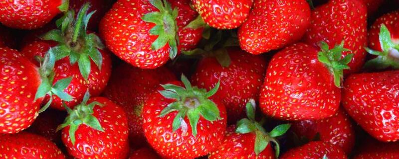 草莓的形状（草莓的形状和特征怎么描述）