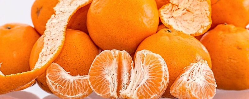 橘子盆栽的寓意 橘树盆栽的寓意