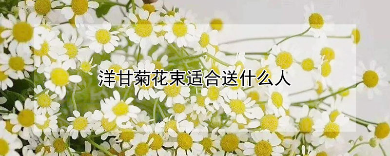 洋甘菊花束适合送什么人 洋甘菊可以送朋友吗