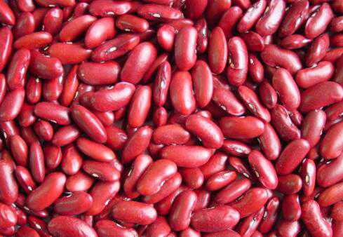 红芸豆不适合什么人吃，吃红芸豆的副作用