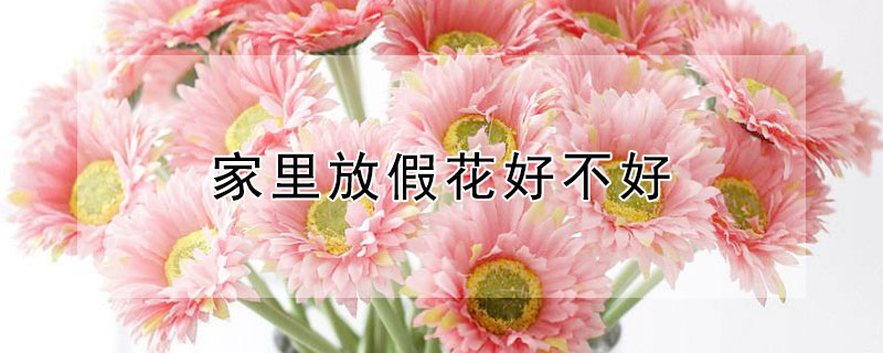 家里放假花好不好