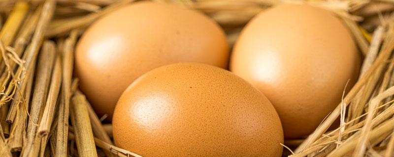 青壳鸡蛋是什么鸡生的
