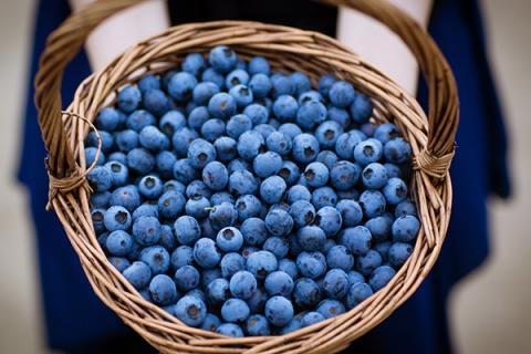 蓝莓果酱的功效与作用 蓝莓果酱有什么功效