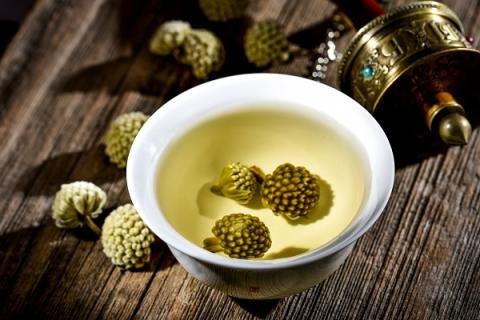 绿萝花的功效与作用