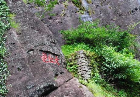 母树大红袍（母树大红袍多少钱一斤）