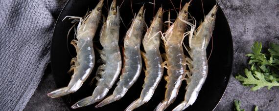 基围虾是激素养大的吗 基围虾都是激素养的吗