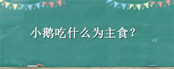 小鹅吃什么为主食 小鹅主要吃什么食物