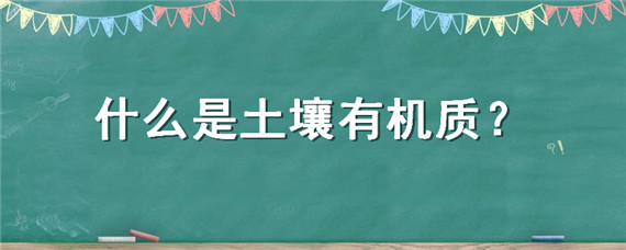 什么是土壤有机质 什么是土壤有机质?它包括哪些形态?其中哪种最重要?