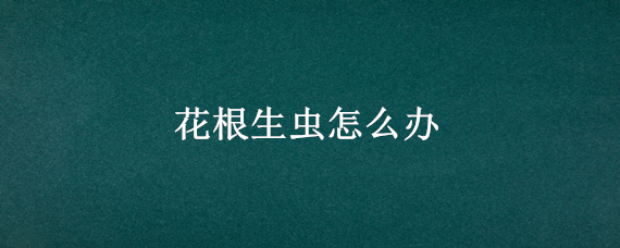 花根生虫怎么办 花根生虫子怎么办