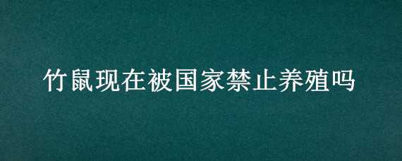 竹鼠现在被国家禁止养殖吗 竹鼠现在被国家禁止养殖吗2022