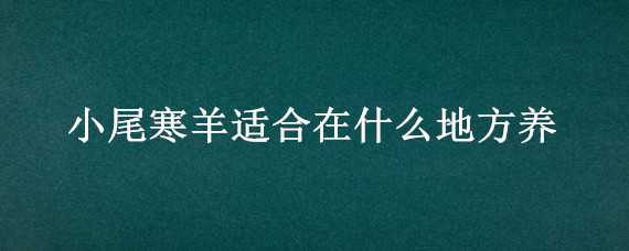 小尾寒羊适合在什么地方养 小尾寒羊好饲养吗