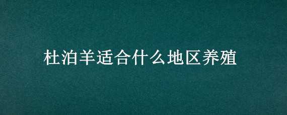 杜泊羊适合什么地区养殖 杜泊羊的养殖技术