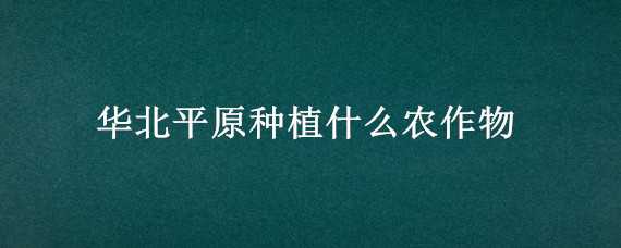 华北平原种植什么农作物 华北平原种植的主要作物