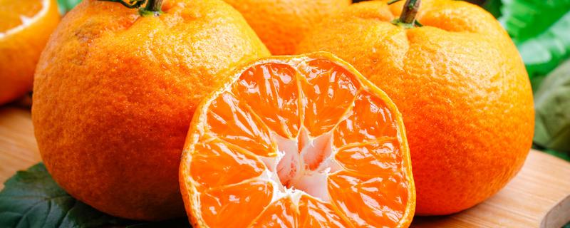 柑橘果实的生长发育适宜温度是多少（柑橘果实的生长发育适宜温度是多少）