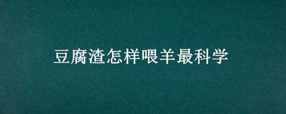 豆腐渣怎样喂羊最科学 豆腐渣怎样喂羊最科学图片