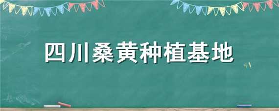 四川桑黄种植基地 四川桑黄种植基地有哪些