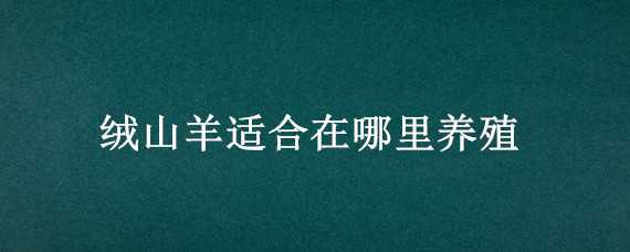 绒山羊适合在哪里养殖 绒山羊养殖前景如何