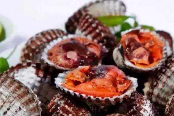 血蛤怎么吃 血蛤如何才能安全食用