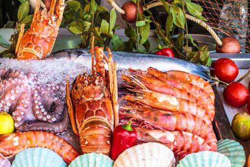 中国不要澳洲龙虾能吃完吗